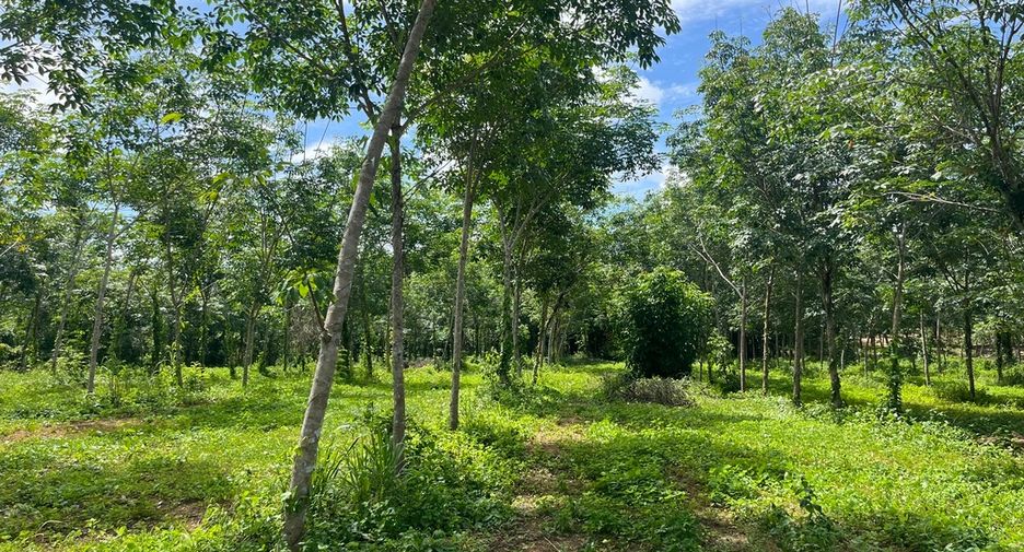 For sale land in Thai Mueang, Phang Nga