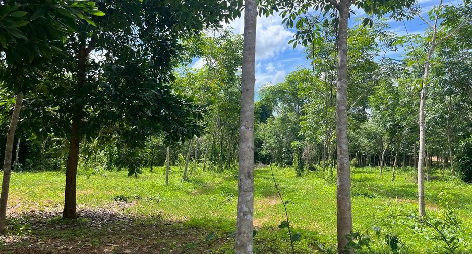 For sale land in Thai Mueang, Phang Nga