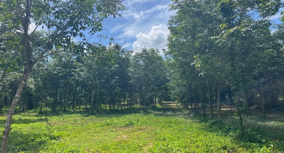 For sale land in Thai Mueang, Phang Nga