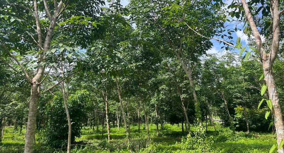 For sale land in Thai Mueang, Phang Nga