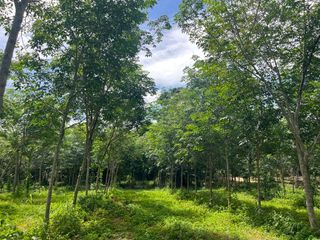 Grundstück zum Kauf in Thai Mueang, Phang Nga
