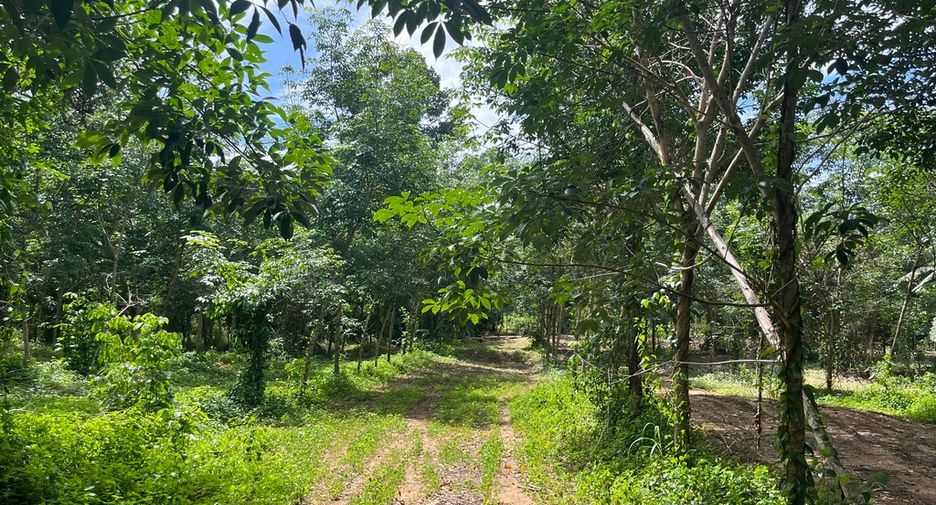 For sale land in Thai Mueang, Phang Nga