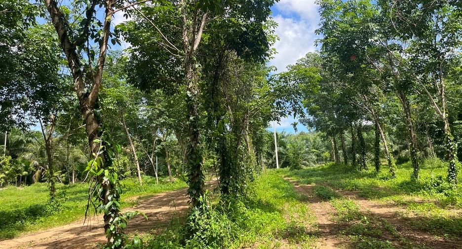 For sale land in Thai Mueang, Phang Nga