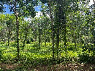 Grundstück zum Kauf in Thai Mueang, Phang Nga