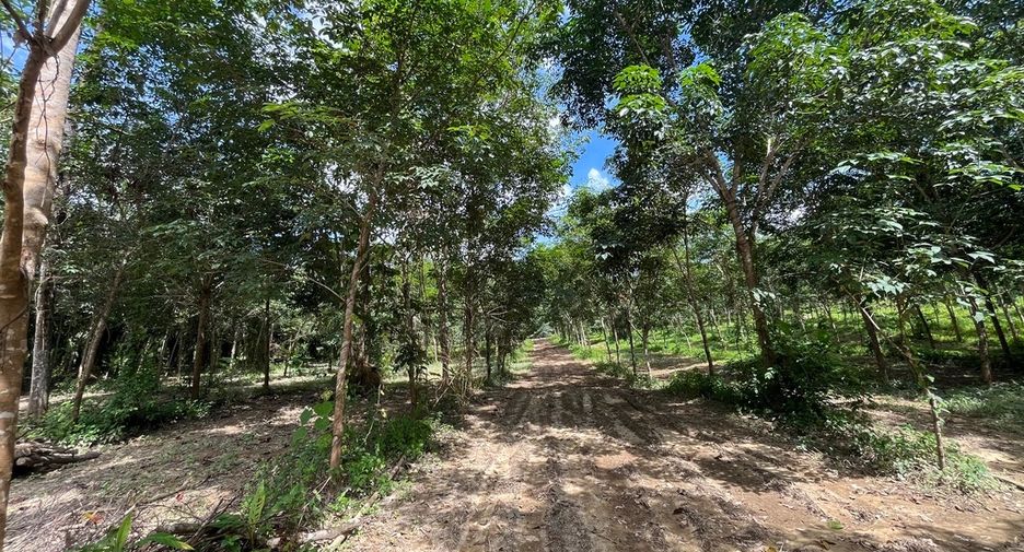 For sale land in Thai Mueang, Phang Nga