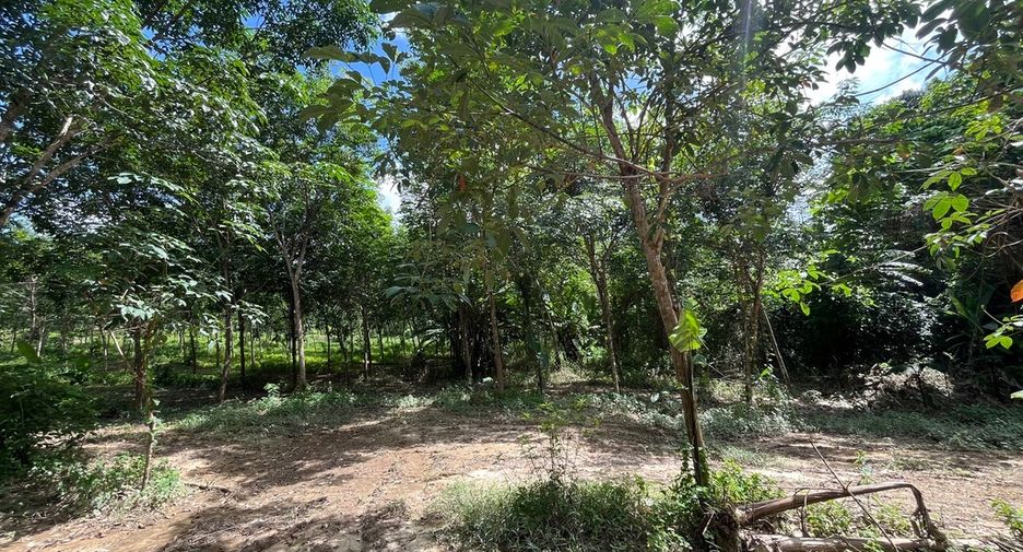 For sale land in Thai Mueang, Phang Nga