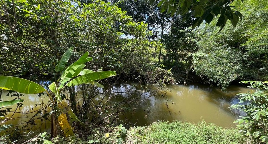 For sale land in Thai Mueang, Phang Nga