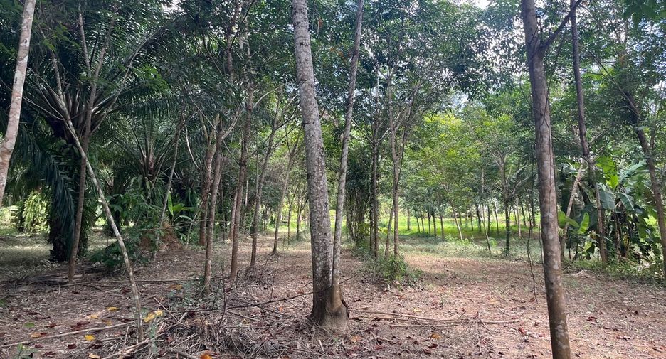 For sale land in Thai Mueang, Phang Nga