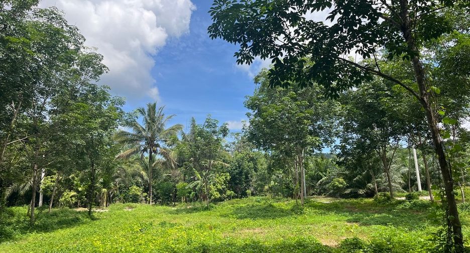For sale land in Thai Mueang, Phang Nga