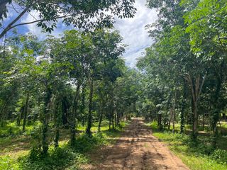Grundstück zum Kauf in Thai Mueang, Phang Nga
