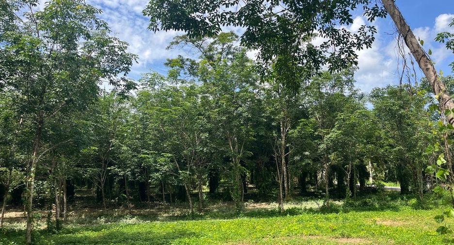 For sale land in Thai Mueang, Phang Nga