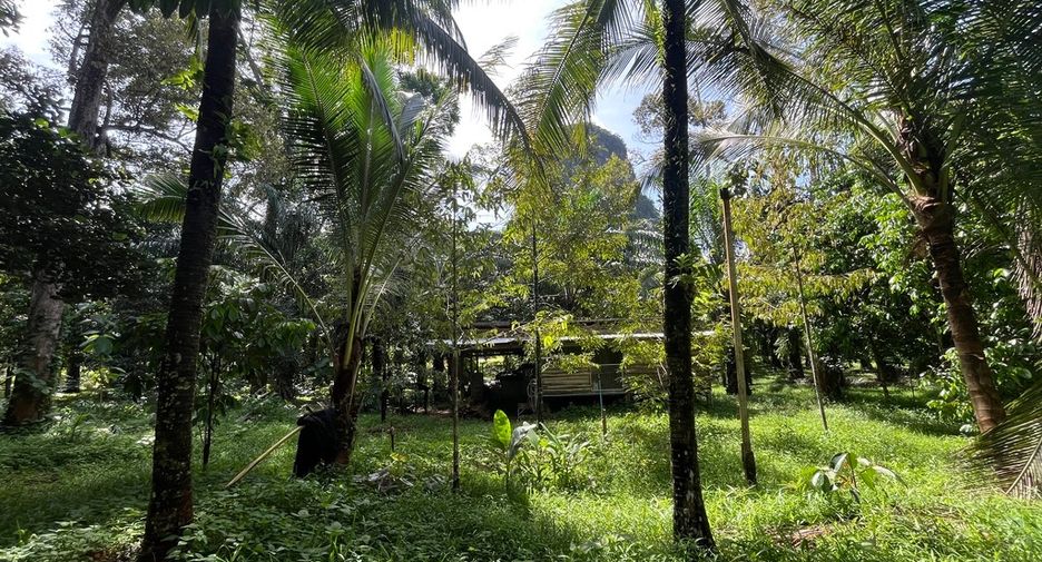 ขาย ที่ดิน ใน เมืองกระบี่, กระบี่
