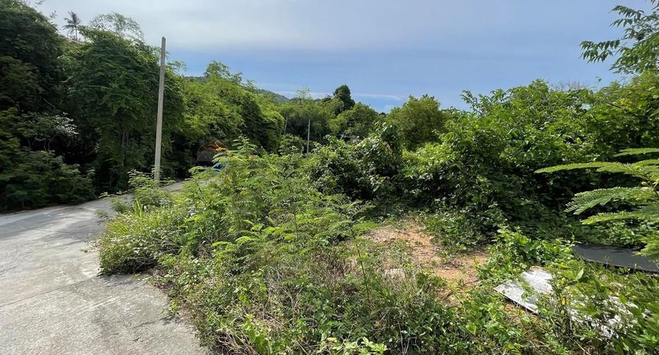 出售 土地 在 苏梅岛, 素叻