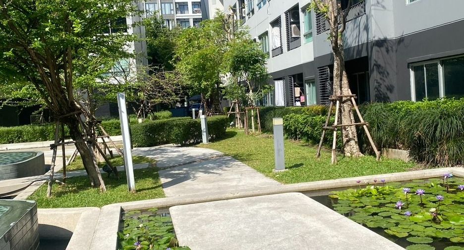 For rent 1 Beds condo in Bang Na, Bangkok