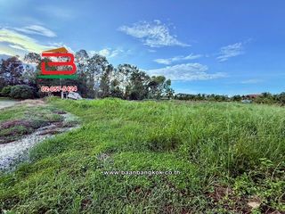 出售 土地 在 Chiang Yuen, Maha Sarakham
