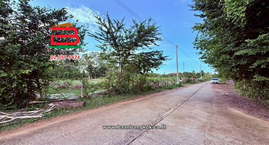 出售 土地 在 Chiang Yuen, Maha Sarakham