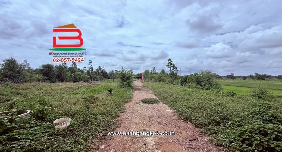 出售 仓库 在 Chiang Yuen, Maha Sarakham