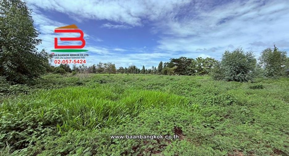 出售 仓库 在 Chiang Yuen, Maha Sarakham