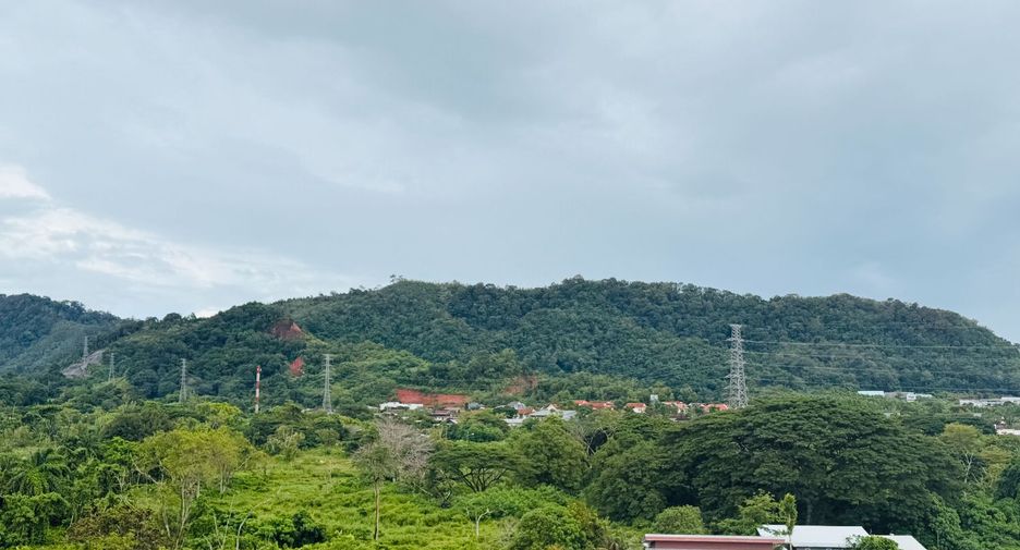 Apartment zur Miete und zum Kauf mit 1 Zimmer in Kathu, Phuket