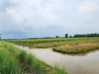 For sale land in Thanyaburi, Pathum Thani