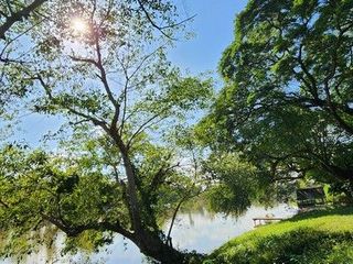 出售 土地 在 Si Sawat, Kanchanaburi