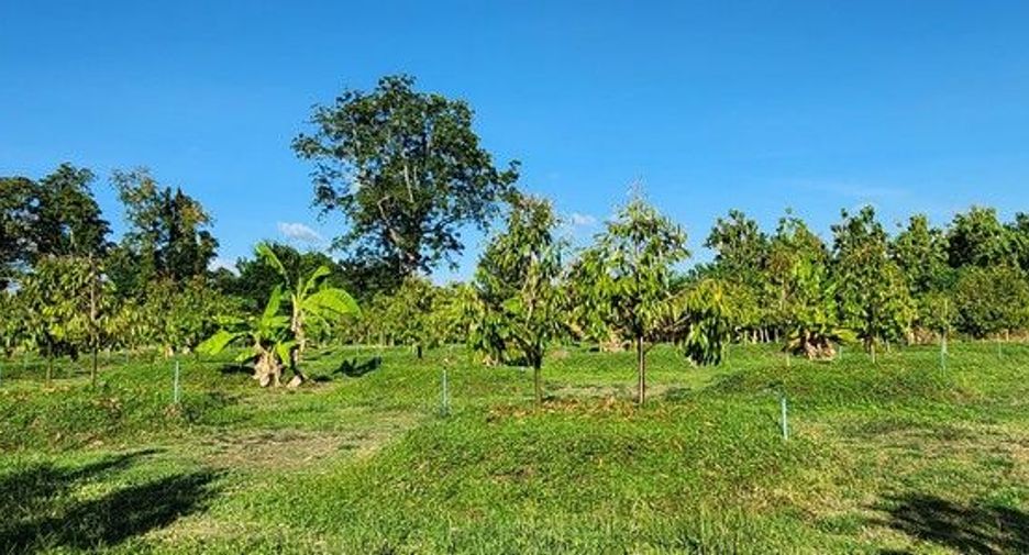 出售 土地 在 Si Sawat, Kanchanaburi