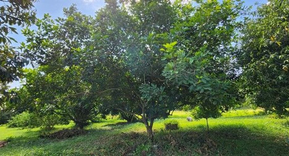 出售 土地 在 Si Sawat, Kanchanaburi