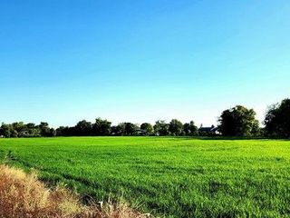 出售 土地 在 Ongkharak, Nakhon Nayok