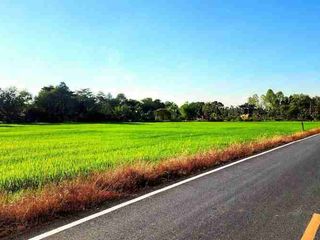 出售 土地 在 Bang Pla Ma, Suphan Buri