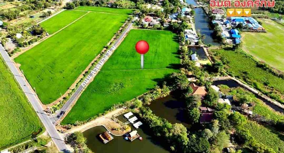 出售 土地 在 Bang Pla Ma, Suphan Buri