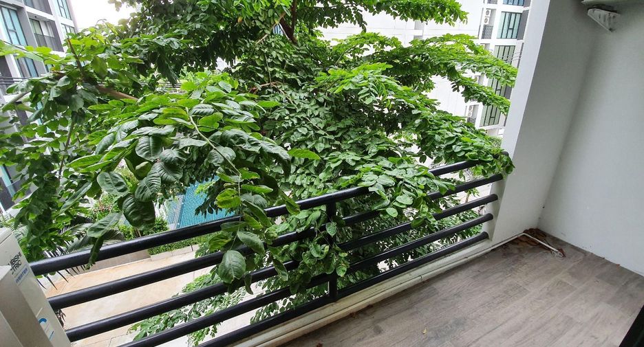 For rent 3 bedrooms condo in Phra Khanong, Bangkok