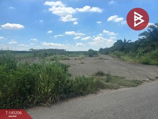 For sale land in Plaeng Yao, Chachoengsao