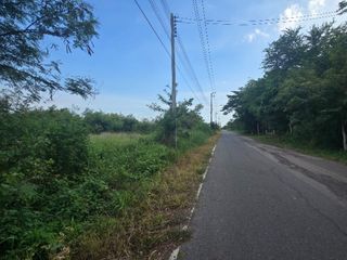 For sale land in Plaeng Yao, Chachoengsao