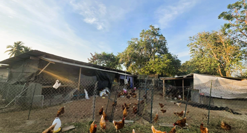 For sale land in Cha Am, Phetchaburi