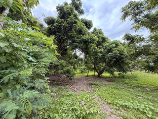 For rent land in Saraphi, Chiang Mai