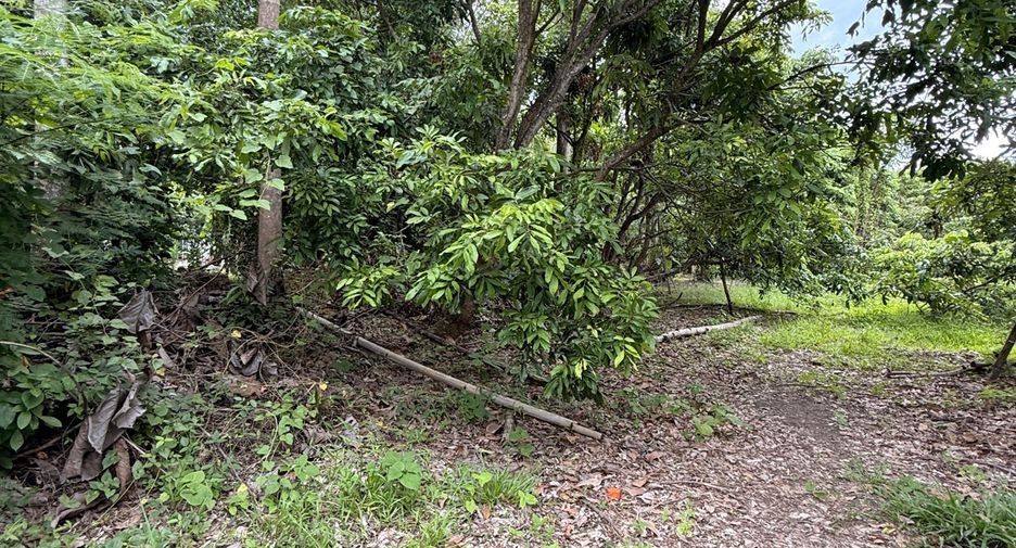 For rent land in Saraphi, Chiang Mai