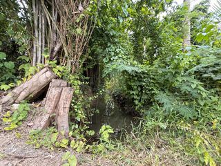 For rent land in Saraphi, Chiang Mai