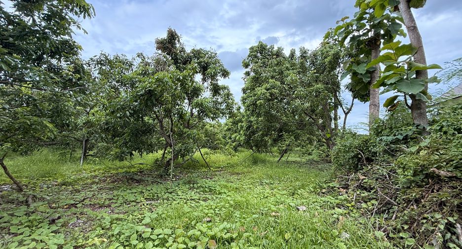 For rent land in Saraphi, Chiang Mai