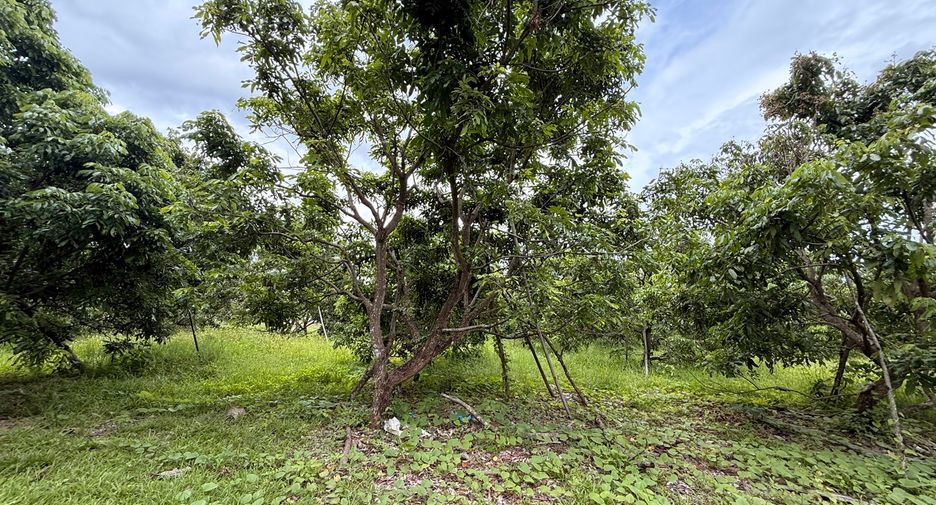 For rent land in Saraphi, Chiang Mai