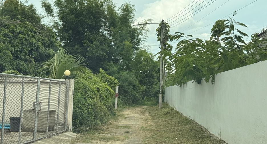For rent land in Saraphi, Chiang Mai