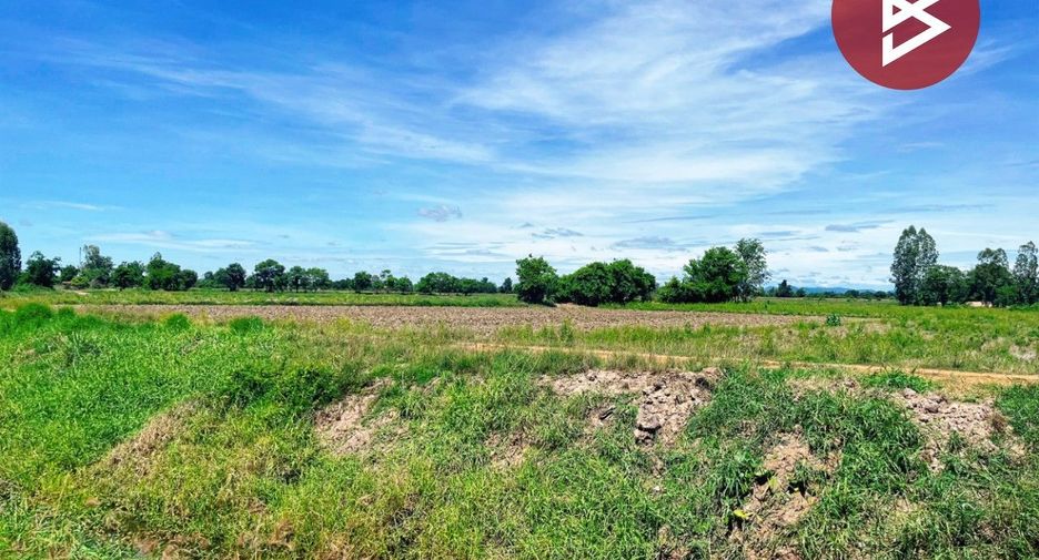 For sale land in Wat Sing, Chainat