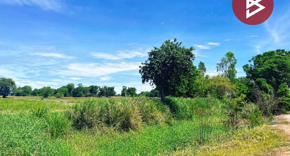 For sale land in Wat Sing, Chainat