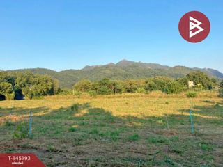 出售 土地 在 Pak Chong, Nakhon Ratchasima