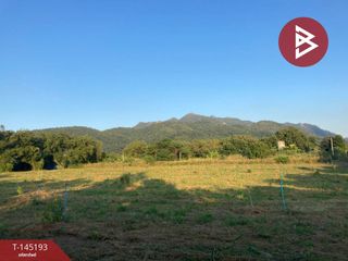For sale land in Pak Chong, Nakhon Ratchasima