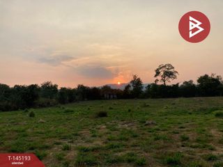 For sale land in Pak Chong, Nakhon Ratchasima