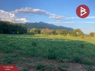 For sale land in Pak Chong, Nakhon Ratchasima