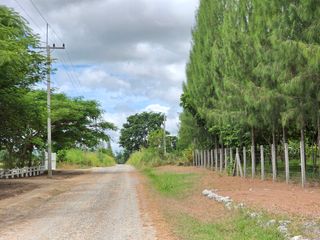 出售 土地 在 Pak Chong, Nakhon Ratchasima