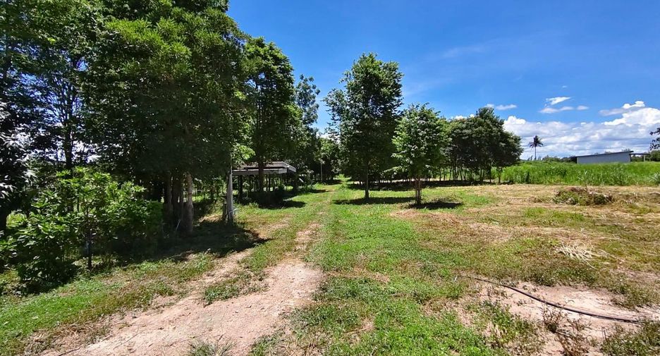 For sale land in Ban Kha, Ratchaburi