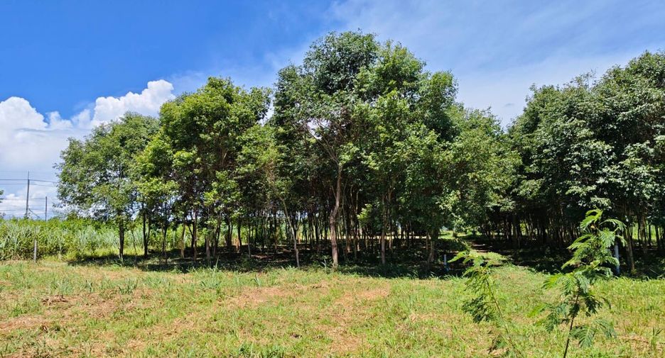 For sale land in Ban Kha, Ratchaburi