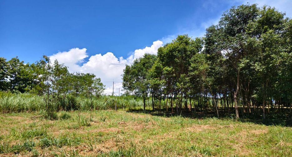 For sale land in Ban Kha, Ratchaburi